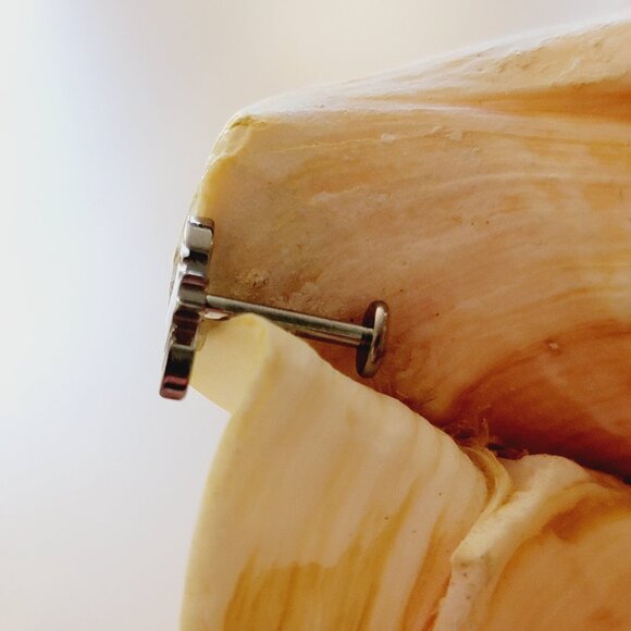 16G G23 bat internally threaded labret stud 8 mm NWT Halloween jewelry - Picture 2 of 5